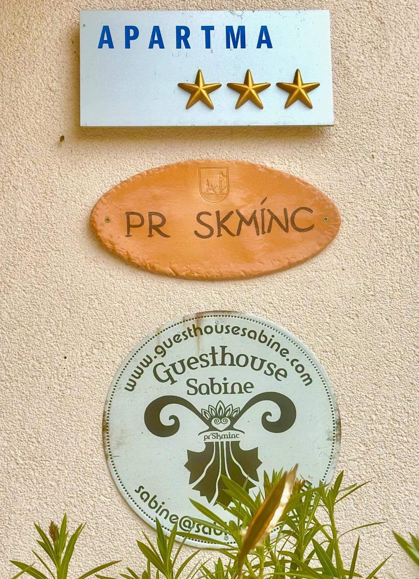 Guesthouse Sabine - Pr' Skminc Бохинийска Бела Екстериор снимка